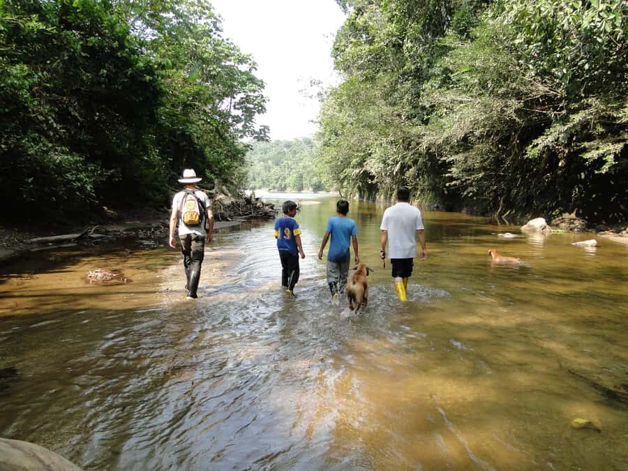 Grand Selva Tours 3 Day Jungle Expedition Ecuador all incl - Entering the Amazon: Tena to Grand Selva Lodge