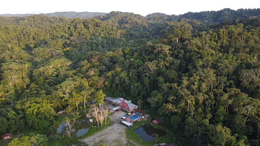 Grand Selva Tours 3 Day Jungle Expedition Ecuador all incl - Day 2 Arajuno river + Amazoonico 360: where the day turns into real conservation