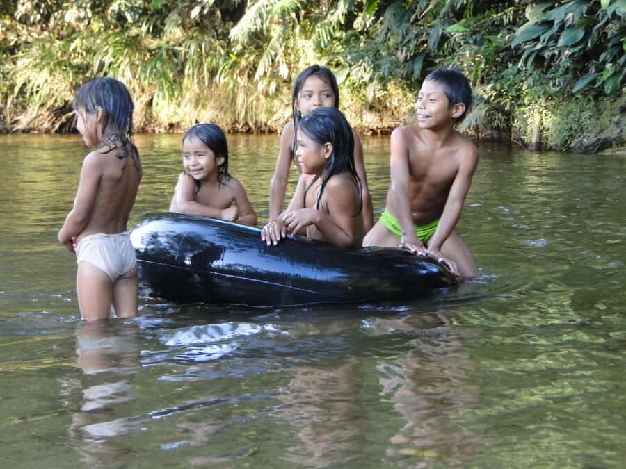 Grand Selva Tours 3 Day Jungle Expedition Ecuador all incl - Day 1 schedule: Guayusa welcome, cacao ritual, and the rainforest night walk