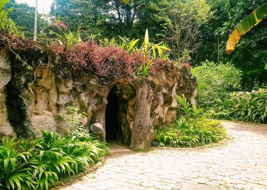 Green Rio: Guided Tour of Botanical Garden and Lage Park - Botanical Garden: from 1808 to orchids, bromeliads, and Royal Palms