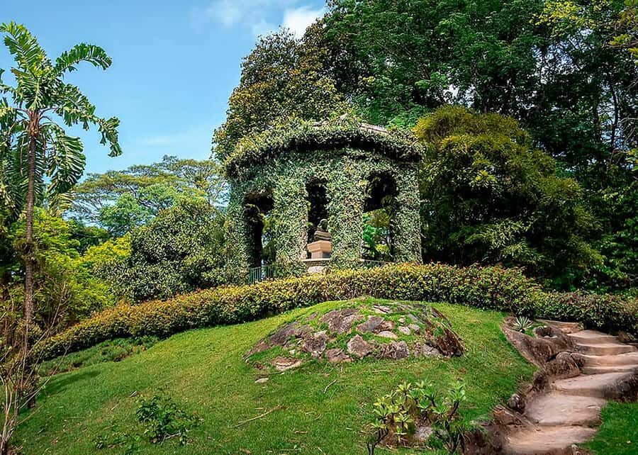 Green Rio: Guided Tour of Botanical Garden and Lage Park - Who this tour suits best (and who might want a different plan)