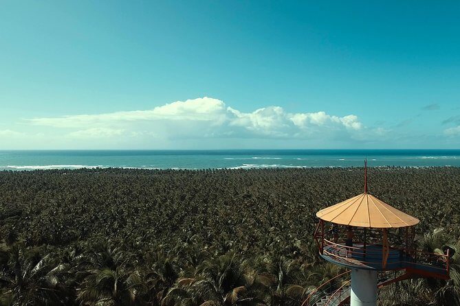 Gunga Beach - Leaving Maceió by WS Receptivo - Transport, Timing, and Group Size: Making the Day Feel Easy