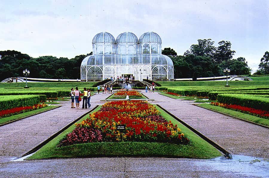 Half-Day Tour of Curitiba City - Bosque do Papa and the Botanical Garden: where the city slows down
