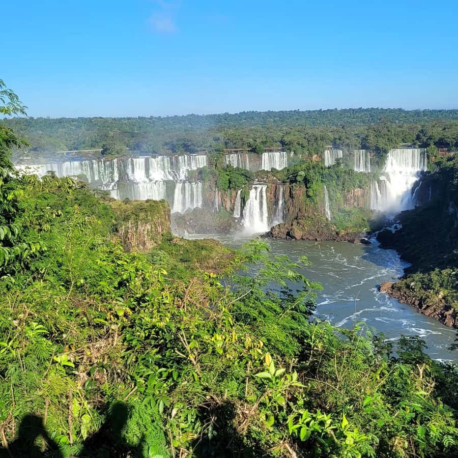 Iguassu Falls: Brazilian Side Private Tour - Caminho das Cataratas Walk: 1,500 Meters of Rainforest and Mist