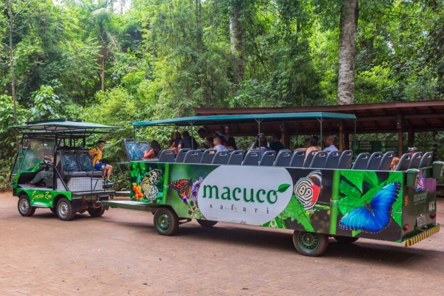Iguassu Falls: Guided Tour & Macuco Safari on Pontoon Boats - Price and Value: What $183 Really Buys in Six Hours