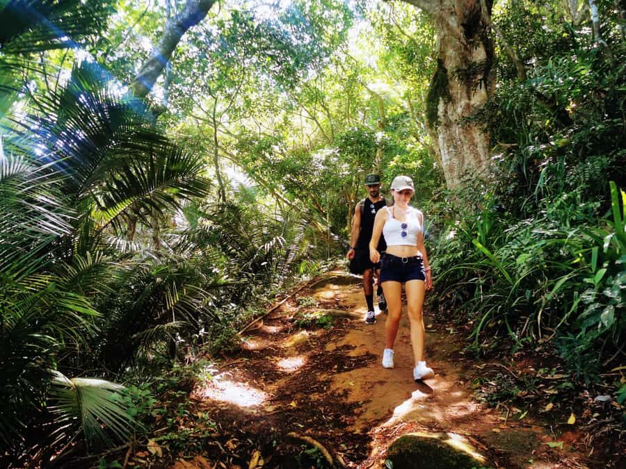 Ilha Grande: Lopes Mendes Private Hiking Tour - Why Lopes Mendes Feels Worth the Full Day