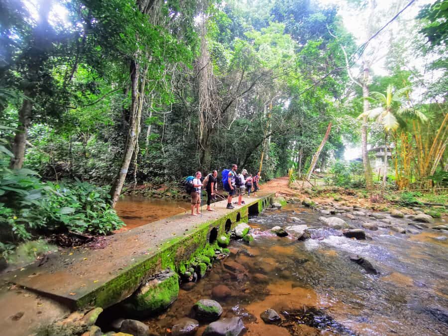 Ilha Grande: Private Hiking with Forest, Beaches & Waterfall - A private hike that mixes Atlantic Forest, beaches, and history