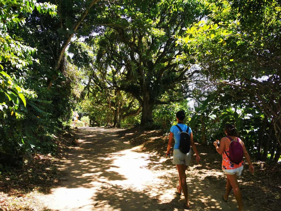 Ilha Grande: Private Historic Walking Tour with Natural Pool - What to Bring (So the Day Stays Easy)