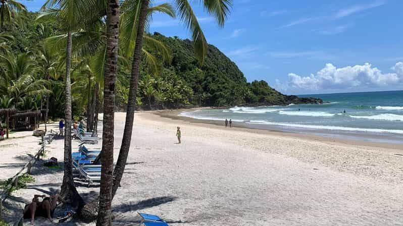 Itacare: 4 Beaches Trail and Tijuipe Waterfall - Key highlights you’ll feel the moment you arrive