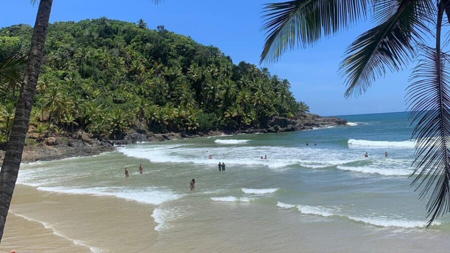 Itacare: 4 Beaches Trail and Tijuipe Waterfall - Transportation, timing, and how hard this day feels