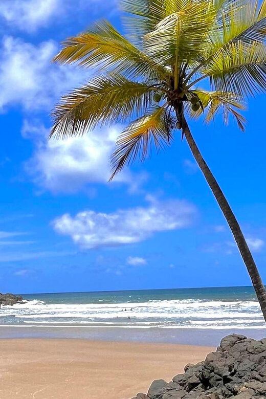 Itacare: 4 Beaches Trail and Tijuipe Waterfall - Price: is $42 per person actually good value?