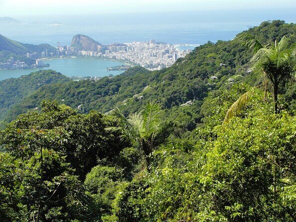 Jeep Adventure: Guided Tour through Tijuca Rain Forest - Key Highlights You’ll Care About