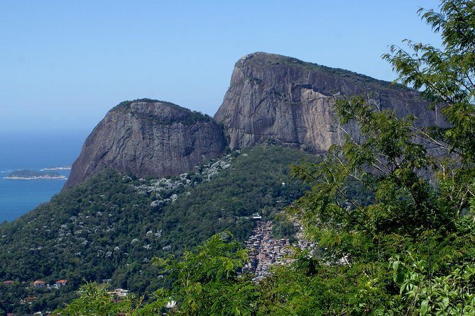 Jeep Adventure: Guided Tour through Tijuca Rain Forest - Stop-by-Stop: Waterfalls, Trails, and the Timing That Works