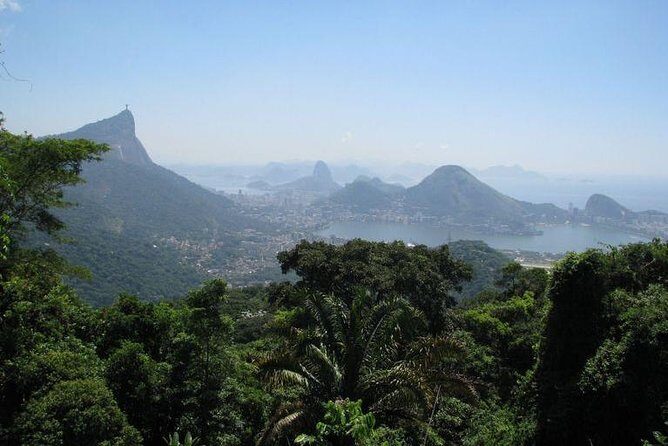 Jeep Adventure: Guided Tour through Tijuca Rain Forest - Price and Value: Is $88.21 a Good Deal?