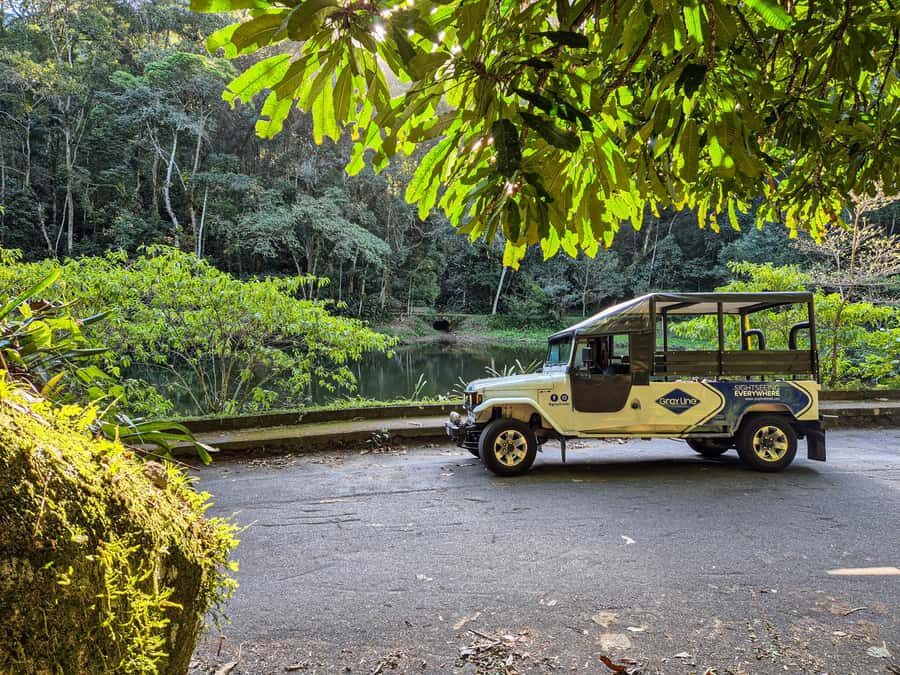 Jeep'n'Culture: Rocinha Favela and Tijuca Rainforest Tour - Visitor Center + Easy Hike: Wildlife Spotting Without Hardcore Hiking