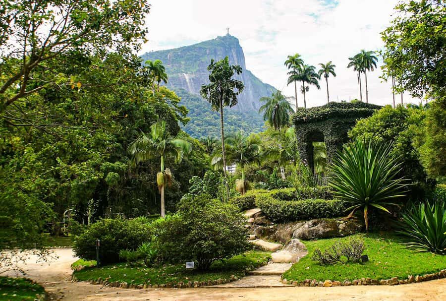 Jeep'n'Green: Rio Botanical Garden & Tijuca Rainforest Tour - Setting Expectations for a 4-Hour Rio Nature Day