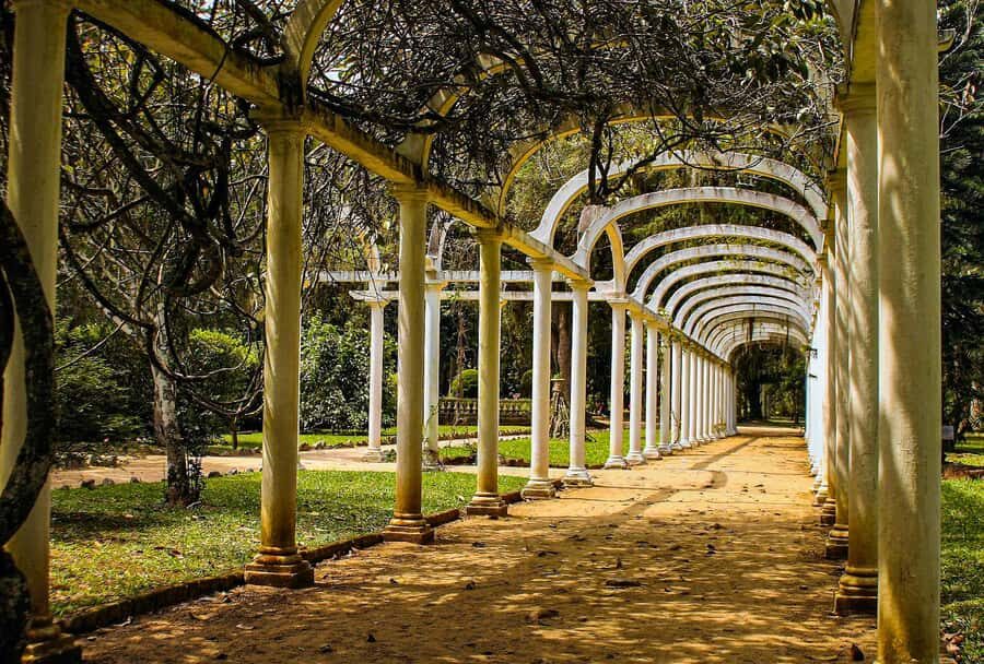Jeep'n'Green: Rio Botanical Garden & Tijuca Rainforest Tour - Emperor’s Table: The Viewpoint That Counters the City