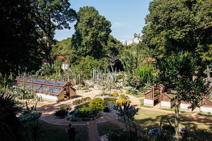 Jeep'n'Green: Rio Botanical Garden & Tijuca Rainforest Tour - Cachoeira dos Macacos: The Short Eco-Trek That Actually Reaches Water