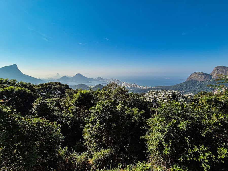 Jeep'n'Green: Rio Botanical Garden & Tijuca Rainforest Tour - Pepino Beach: Hang Gliders and One Last Look at the Air