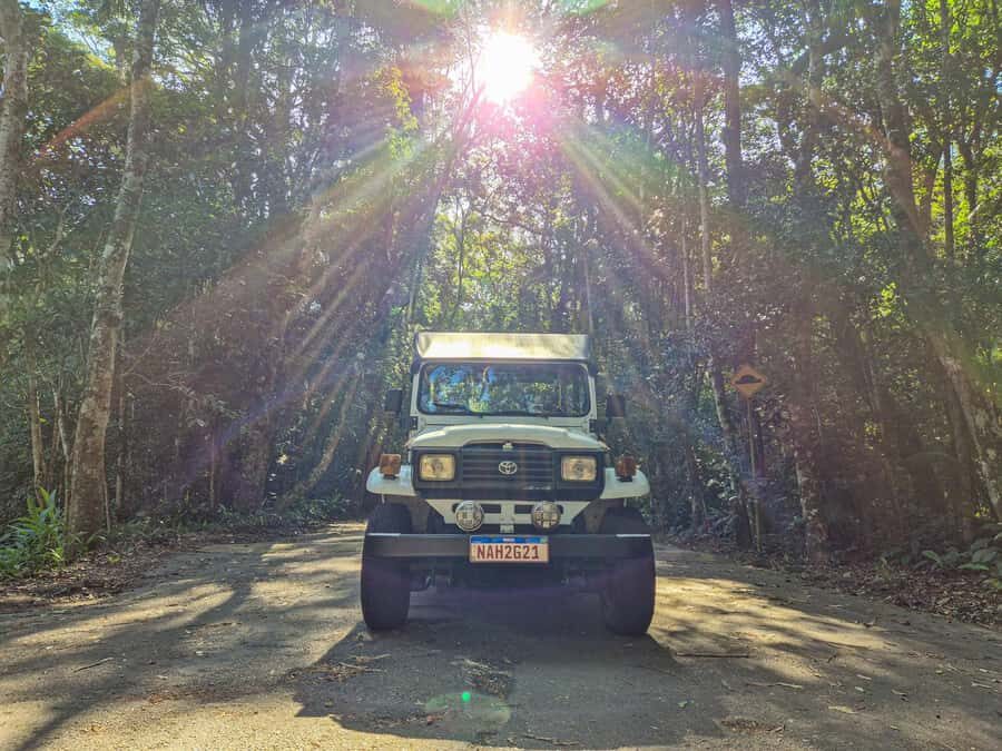 Jeep'n'Green: Rio Botanical Garden & Tijuca Rainforest Tour - First Stop: Rio’s Botanical Garden and Its 6,000+ Plant World