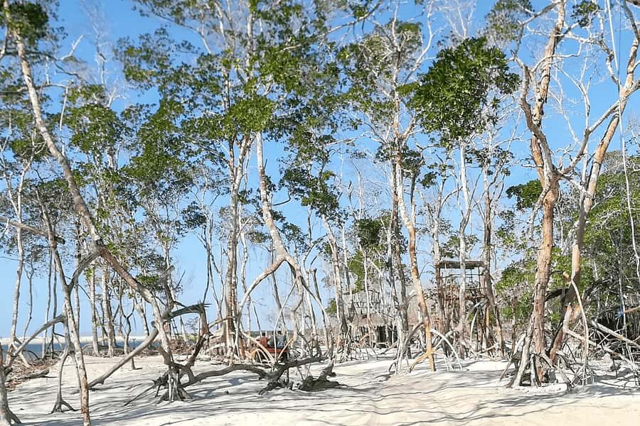 Jericoacoara: Tatajuba Beach Tour - Price and Value: What $16 Buys in Jericoacoara Day Tours