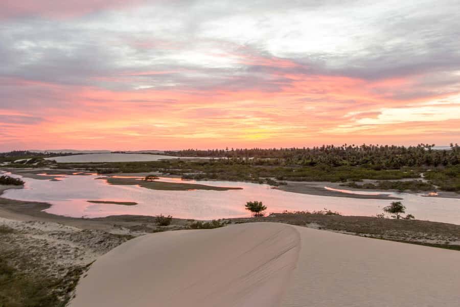 Jericoacoara: Tatajuba Beach Tour - Praia de Mangue Seco: Mangroves, a Blue Lagoon, and Seahorse Habitat
