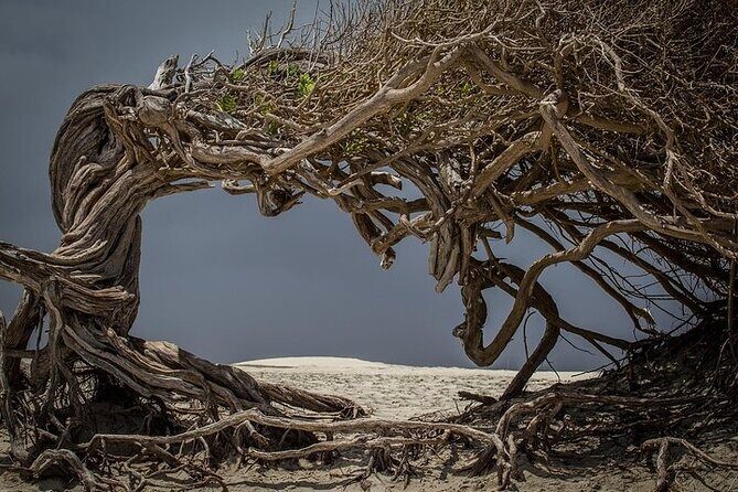 Jericoacoara Tour in 1 Day - Who This Tour Fits Best (And Who Should Skip It)
