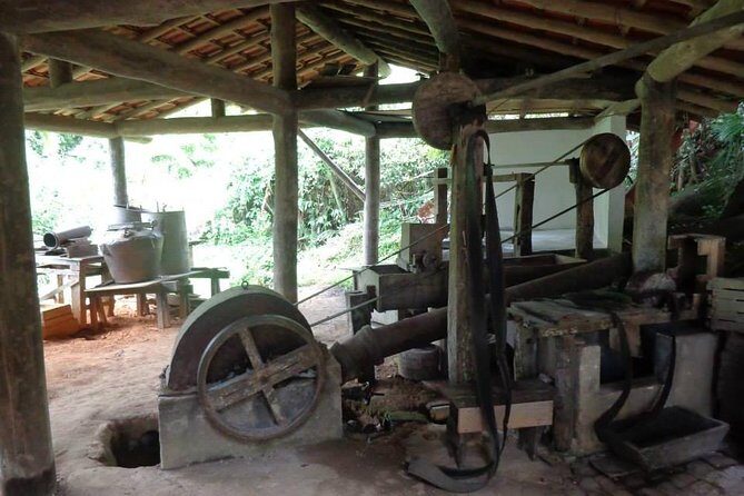 Jipe 4x4 Private 3hr Waterfalls and Waterfall Paraty by Jango Tour - Tarzan and the Waterfall Complex: How the Time Actually Works