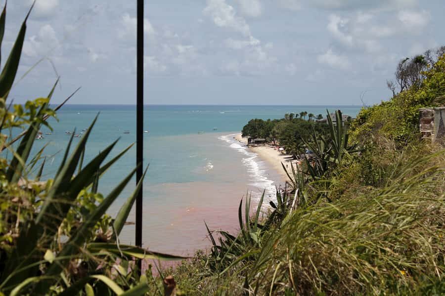 Joao Pessoa City Tour - Paraíba Craft Market: Souvenirs, Time Management, and What to Expect