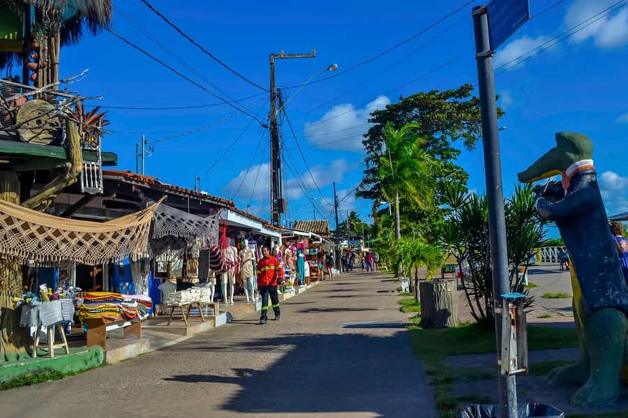 Joao Pessoa Northern Coast Beaches Day Tour - Price and Practical Logistics: Transfers, Fees, and Pickup Reality