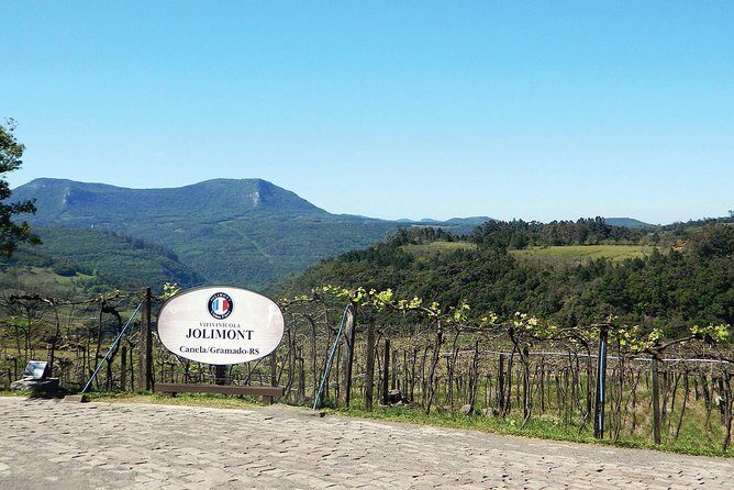 Jolimont Winery Tour - Visitation and Tasting - Canela RS - Virtual Tour Reality Check: VR Glasses Are Currently Unavailable