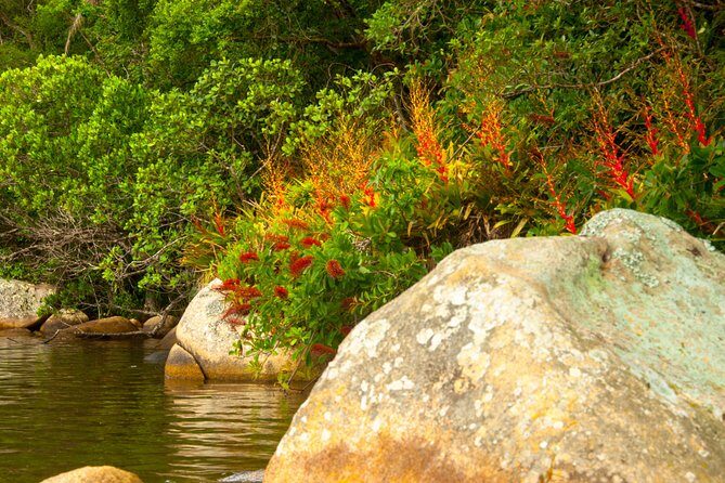 Kayak Water Trail in Red River Park by Adrenailha - Nature and Culture Mix: Why the Ecology Stop Matters
