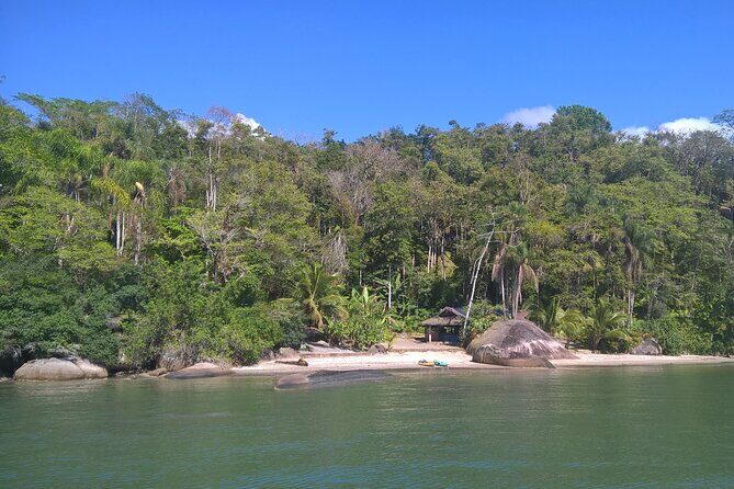 Kayaking Mangroves tour ( Natural Reserve ) - Why Paraty mangroves are worth your morning