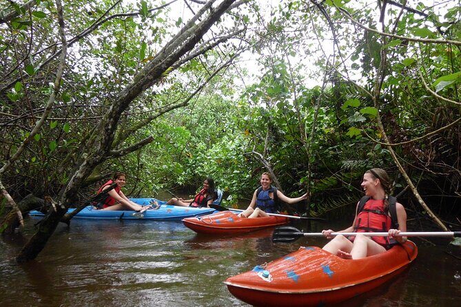 Kayaking Mangroves tour ( Natural Reserve ) - Guides and group size: why this feels personal