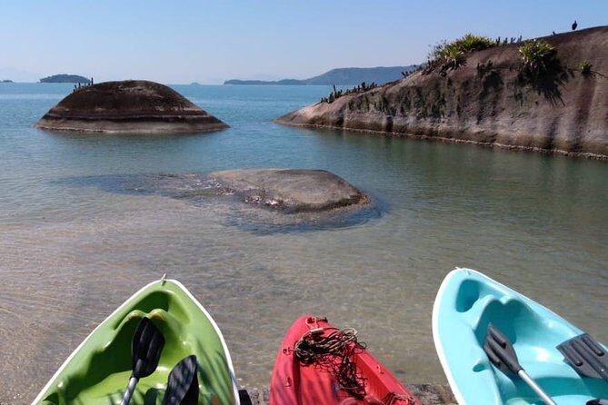 Kayaking Mangroves tour ( Natural Reserve ) - Choosing the 2-hour capybara option vs the 3-hour classic loop
