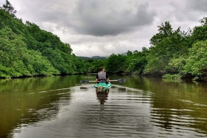 Kayaking to the mangroves - Key highlights at a glance