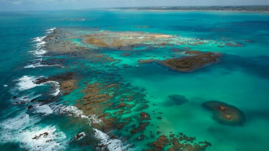 Maceio: Tour to Maragogi Beach - Language and Group Dynamics: Spanish Requests May Need Extra Attention