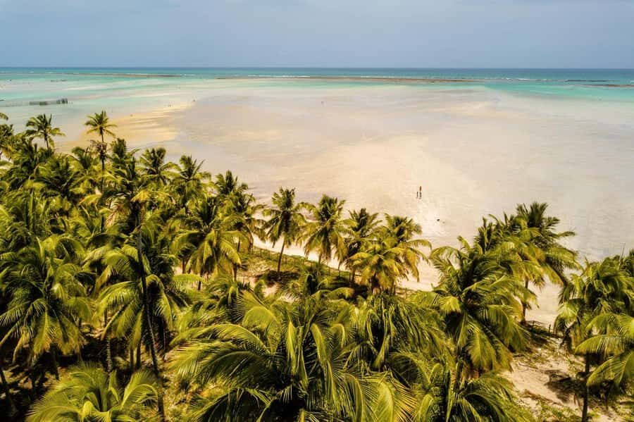 Maceio: Tour to Maragogi Beach - Getting There: The 135 km Ride and What It Does to Your Day