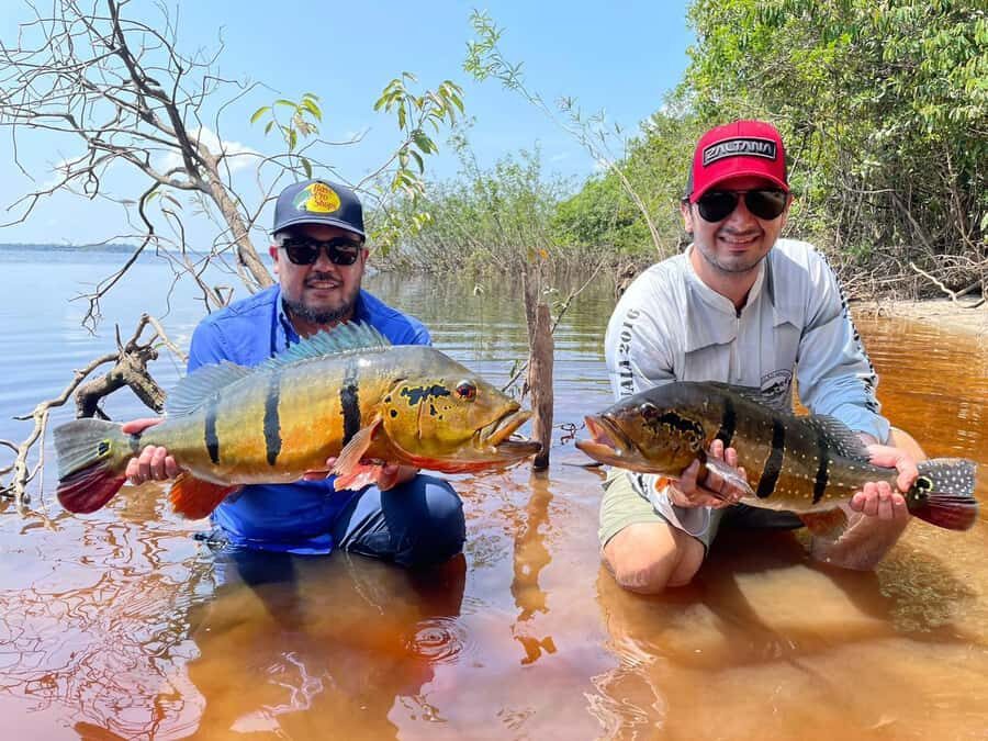 Manaus : A day of fishing on the Rio Negro - The Support System: Licensed Guide and Boat Crew
