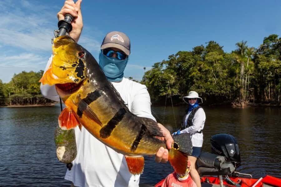 Manaus : A day of fishing on the Rio Negro - Booking Choice: Should You Go?