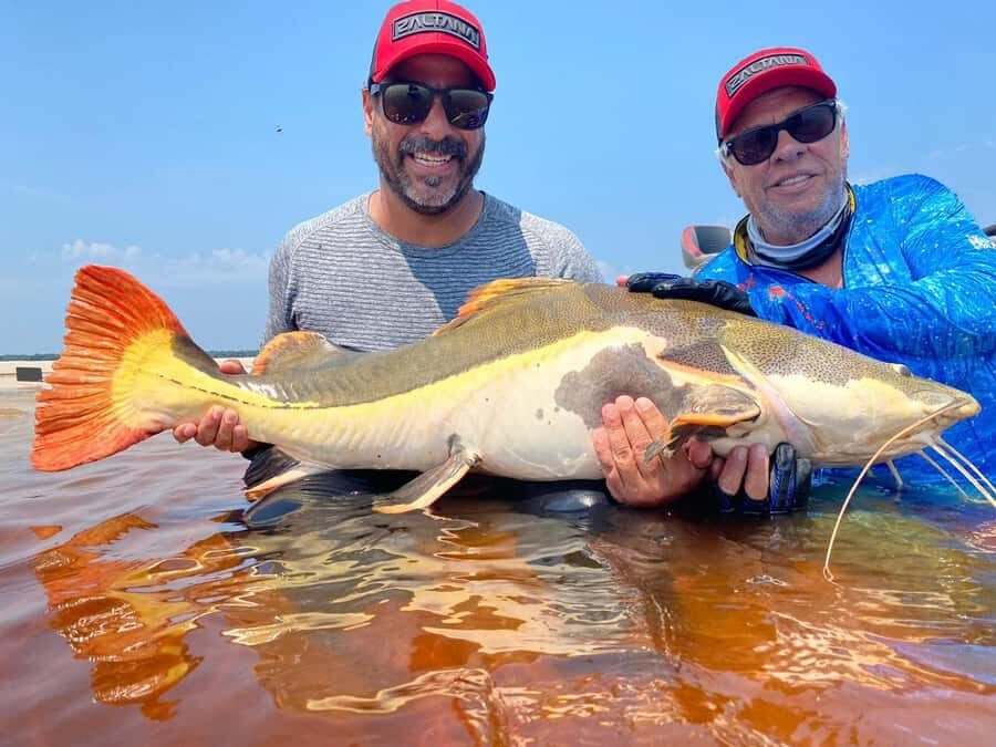 Manaus : A day of fishing on the Rio Negro - Fishing on the Rio Negro and the Realistic Catch Picture