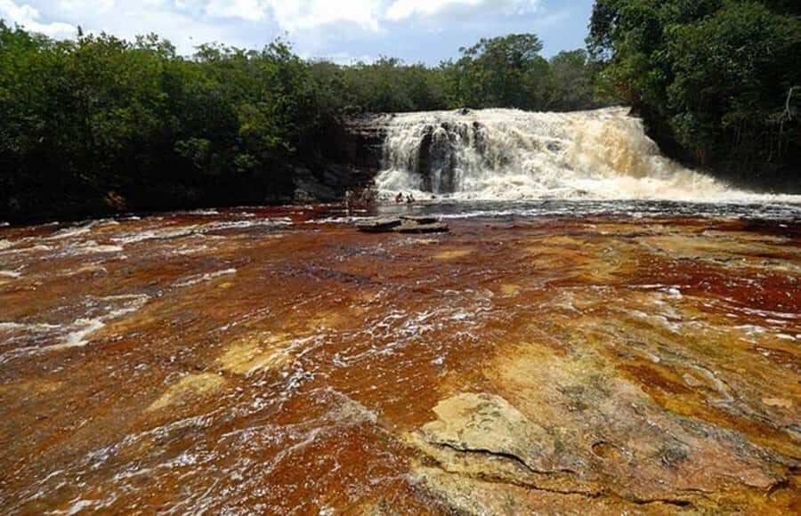 Manaus: Amazon Waterfalls Day Trip with Lunch - Refúgio do Maroaga Cave: swimming in a cave you can actually feel