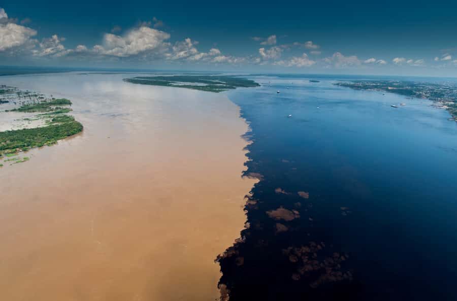 Manaus: Full-Day Tour on the Amazon River - How a One-Day Manaus Amazon Tour Hits the Big Highlights