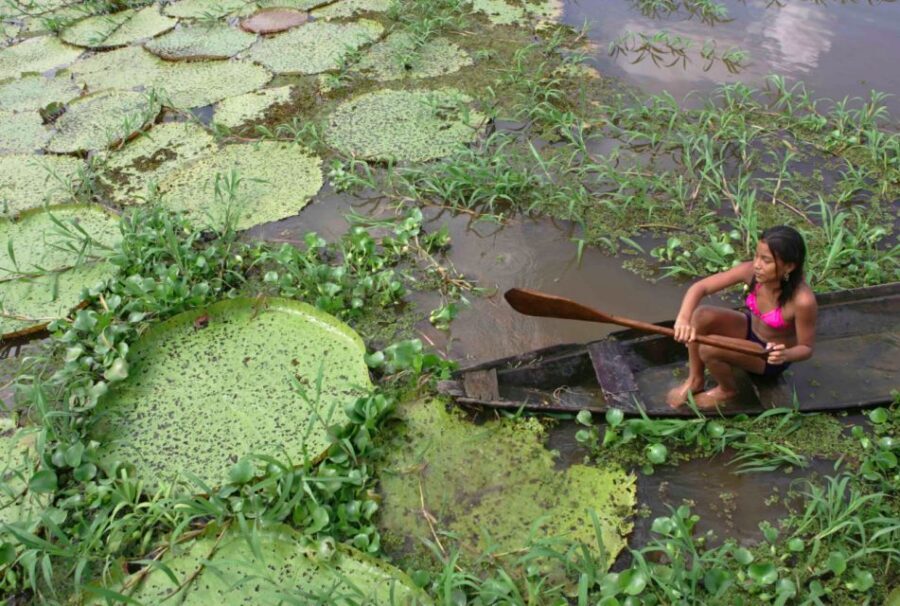 Manaus: Full-Day Tour on the Amazon River - Dessanos and Tucanos Village Visits, Shaman Chat, and Body Painting