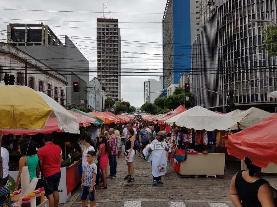 Manaus: Half-Day City Tour - Price and value for a half-day city hit