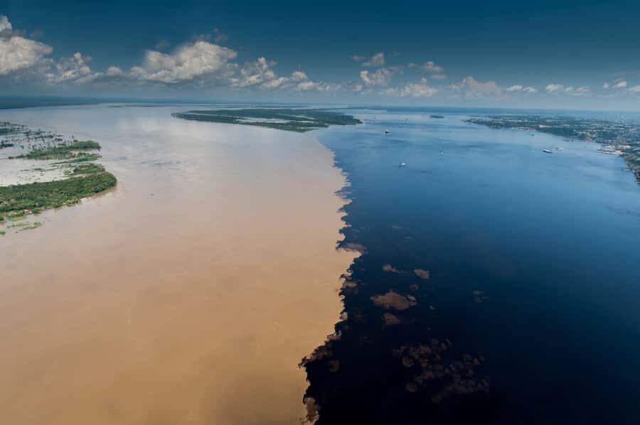Manaus: Meeting of the Waters & Pink Dolphin Tour with Lunch - Key highlights worth knowing before you go