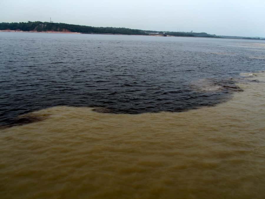Manaus: Meeting of the Waters & Pink Dolphin Tour with Lunch - The day’s rhythm: pickup, boat time, and how fast it moves