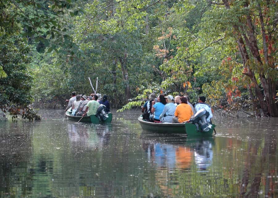 Manaus: Meeting of the Waters & Pink Dolphin Tour with Lunch - What to bring (and what to leave behind)