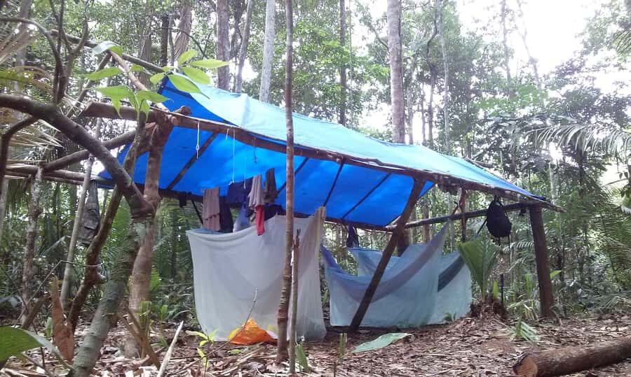 Manaus: Multi-Day Amazon Survival Trip with Camping - Catalao And The Meeting Of The Waters: What You Should Notice