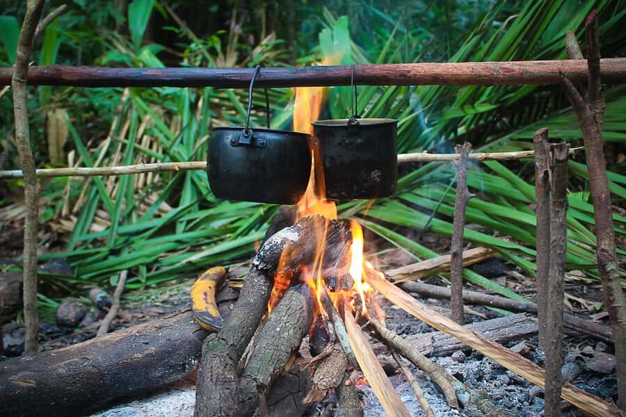 Manaus: Multi-Day Amazon Survival Trip with Camping - Price And Value: What $660 Buys In Real Amazon Time